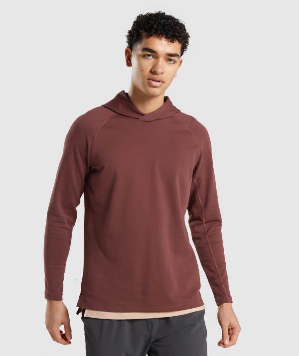 Panske Mikiny S Kapucňou Gymshark Studio Ruzove Hnede | OG2954367